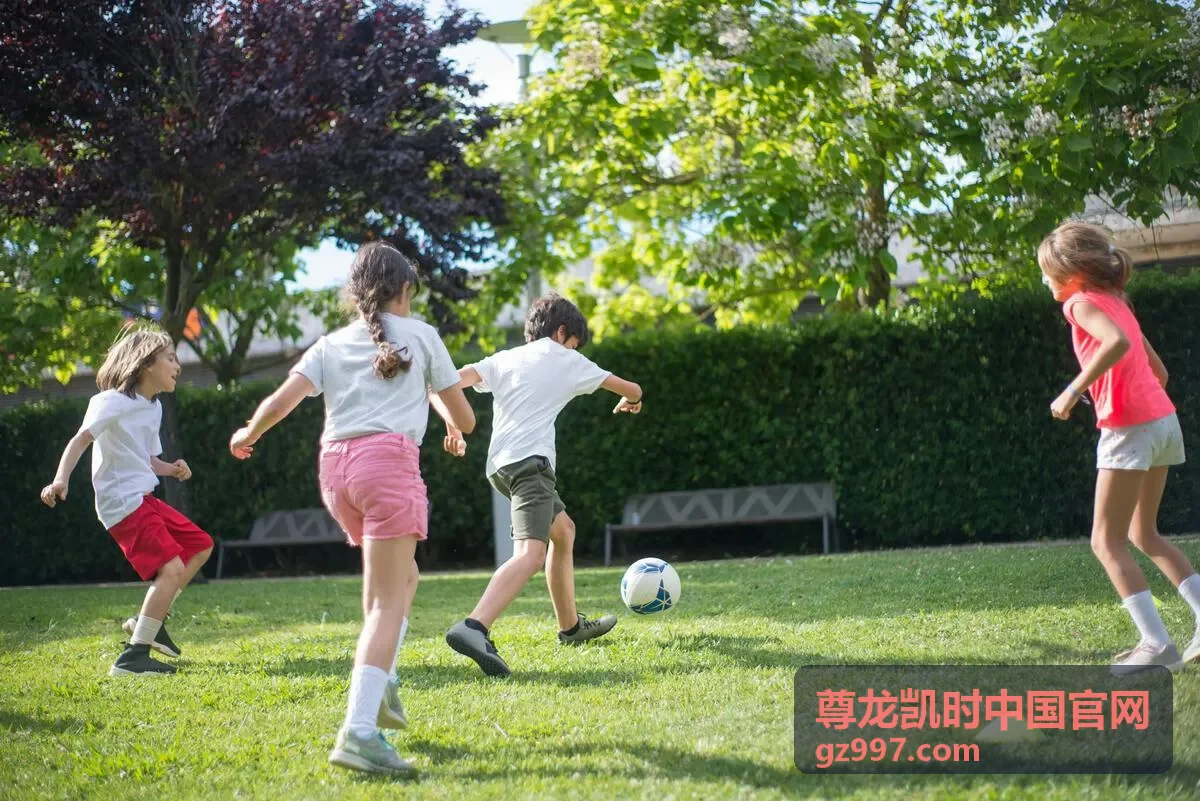 尊龙凯时中国官网平台手册频道